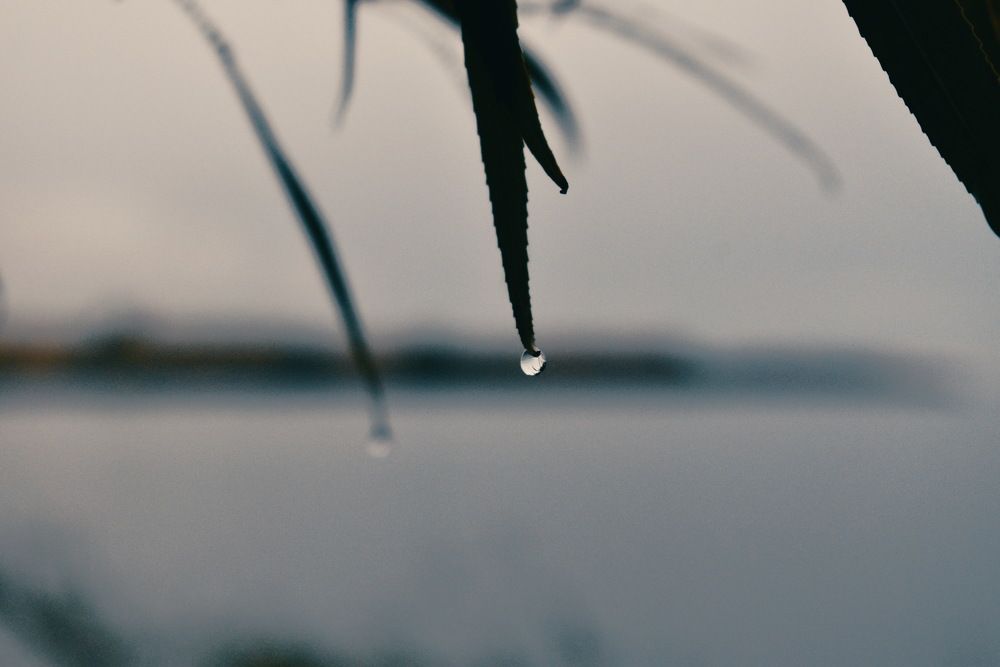 Photograph by Екатерина Скоропадова