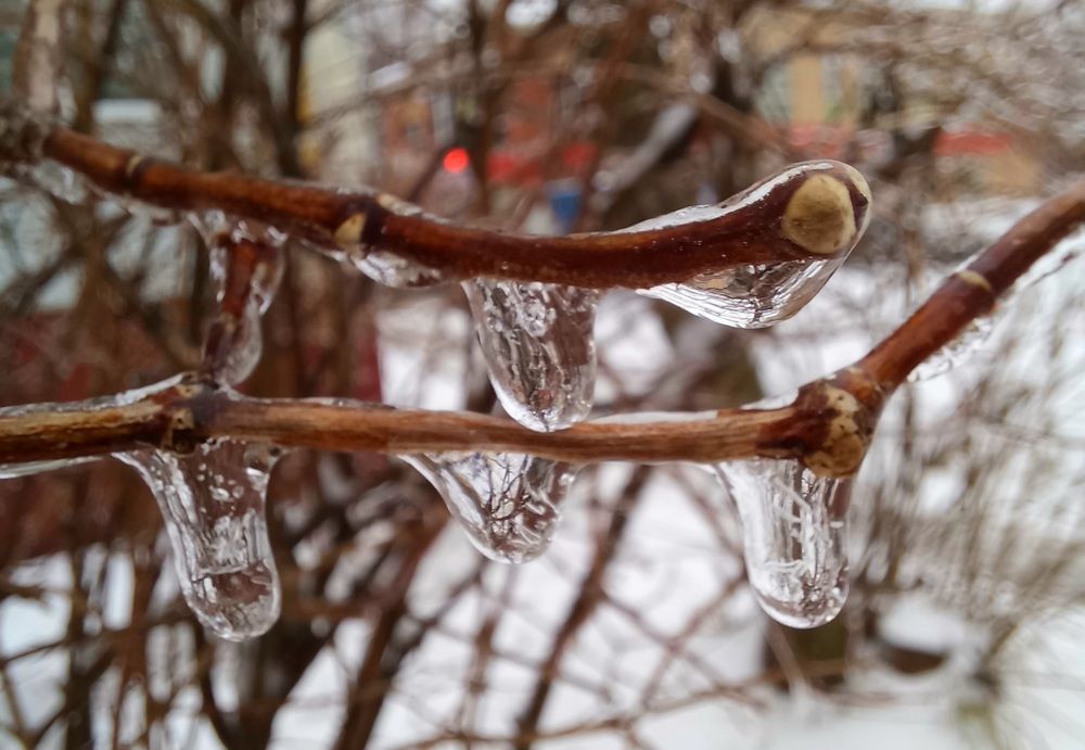 Photograph by Ольга Юрченко