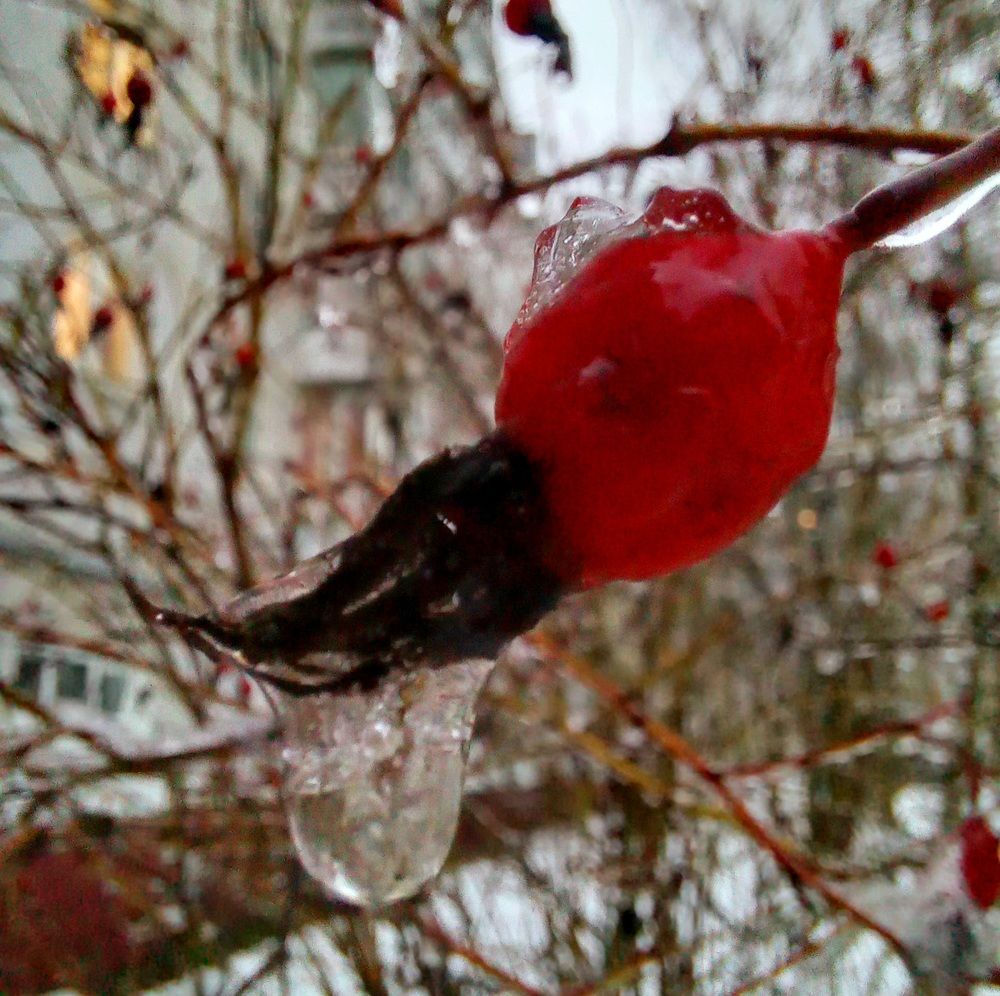 Photograph by Ольга Юрченко