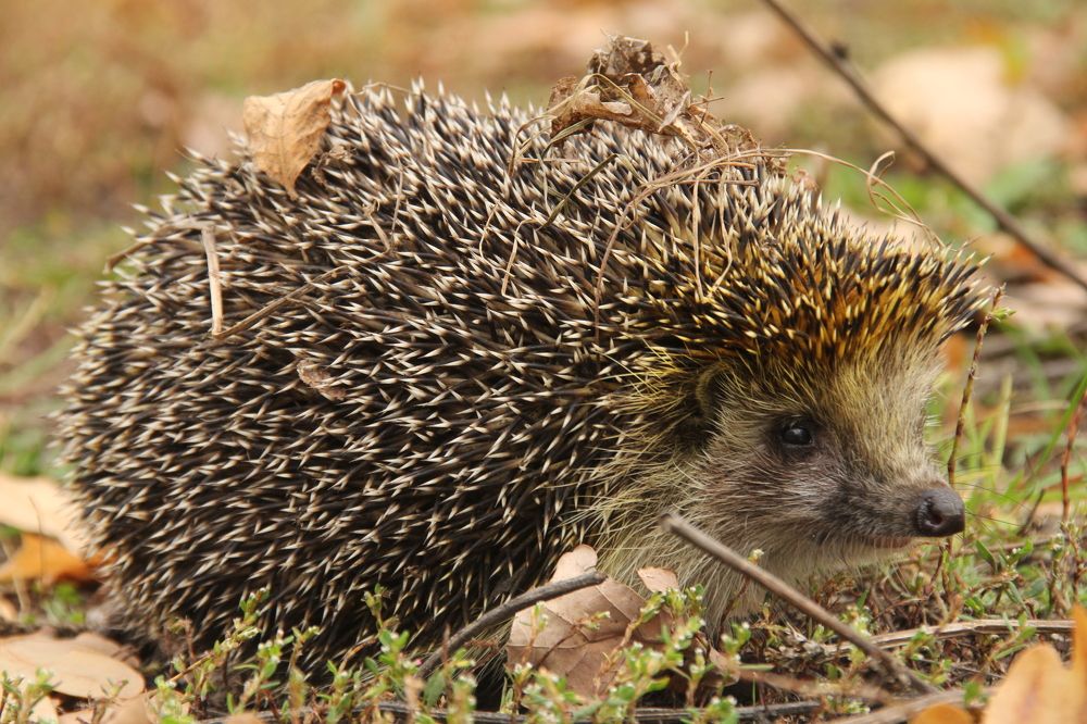 Photograph by Артем Артемьев