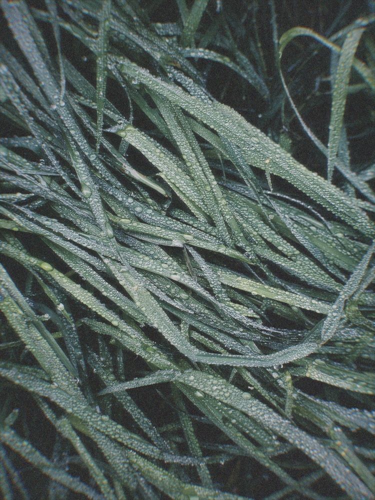 Photograph by Анастасия Щербакова