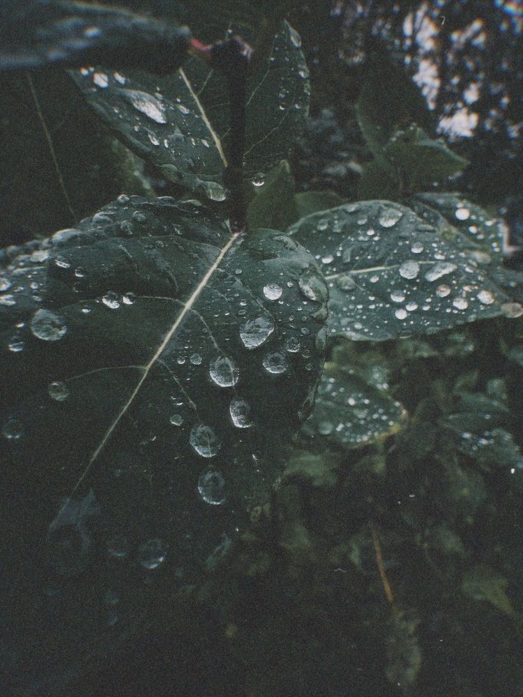 Photograph by Анастасия Щербакова