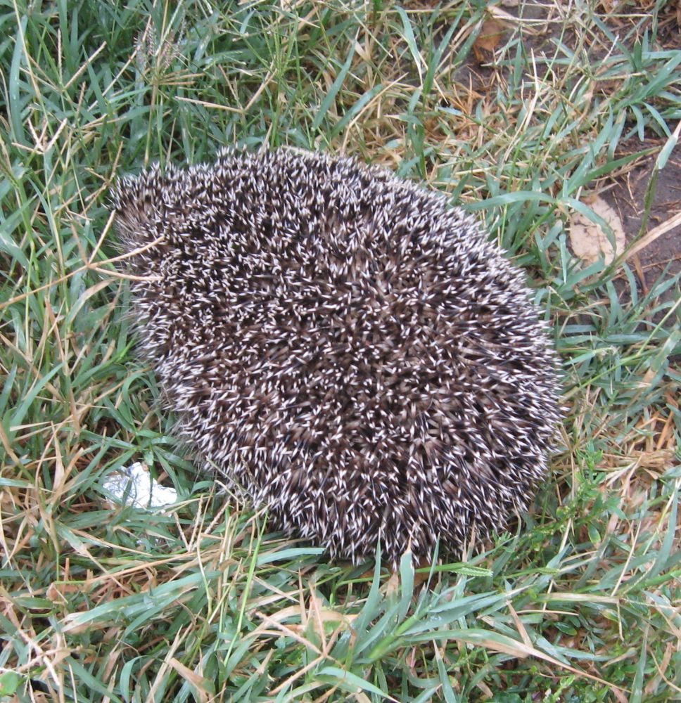 Photograph by Наталия