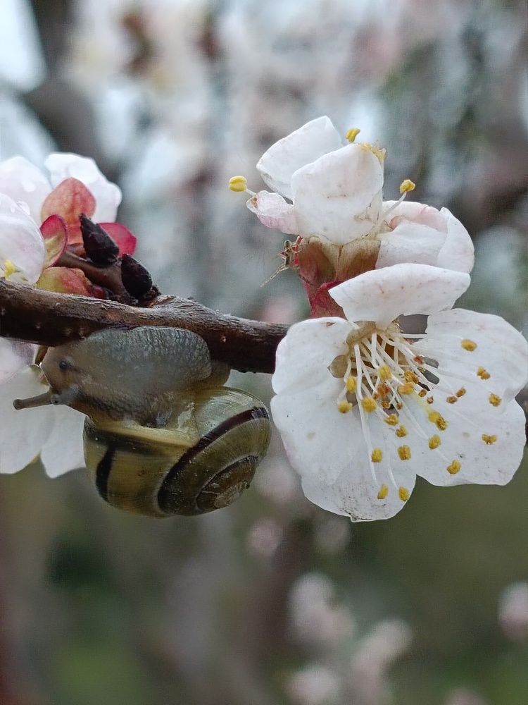 Photograph by Елена Пархоменко