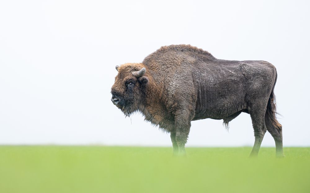 Photograph by Logeswaranathan Mohanaraj