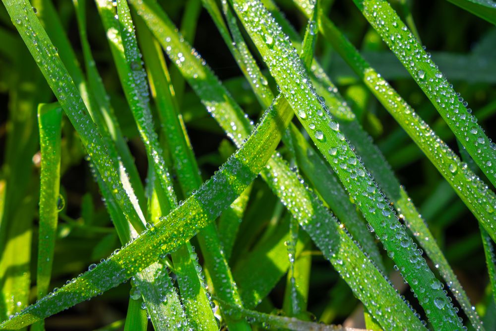 Photograph by Abhishek