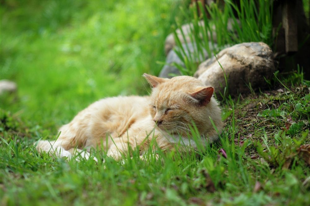 Photograph by Анастасия Брус