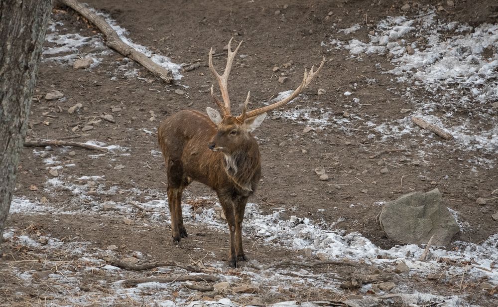 Photograph by Олег Волков