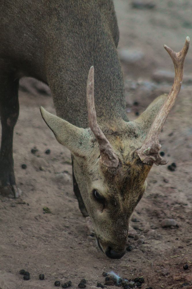 Photograph by Ziad Rizwan