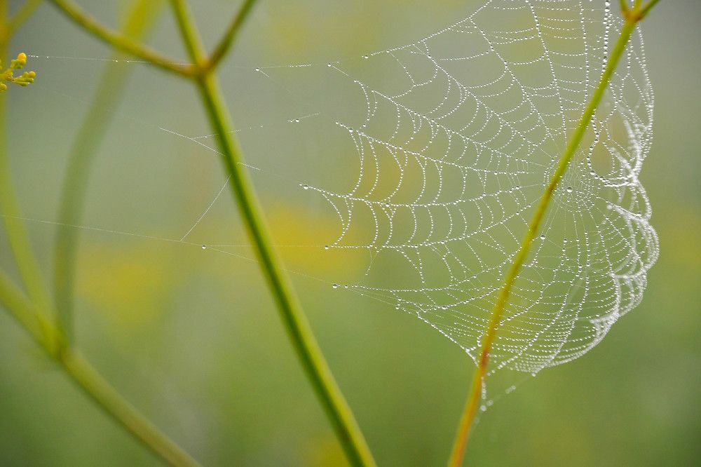 Photograph by Олег Волков