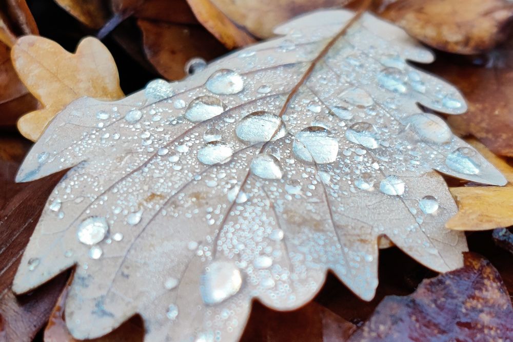 Photograph by Abhishek