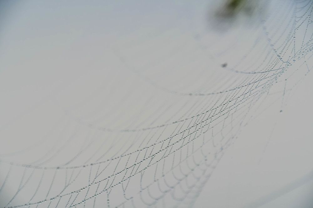 Photograph by Олег Волков