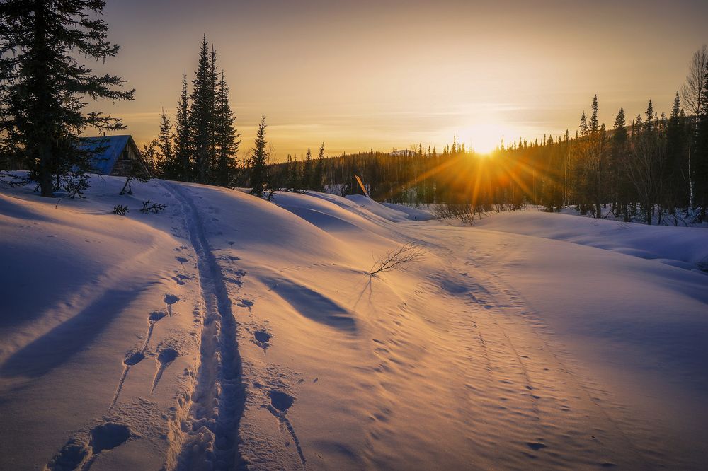 Фотография автора Татьяна Добровольская