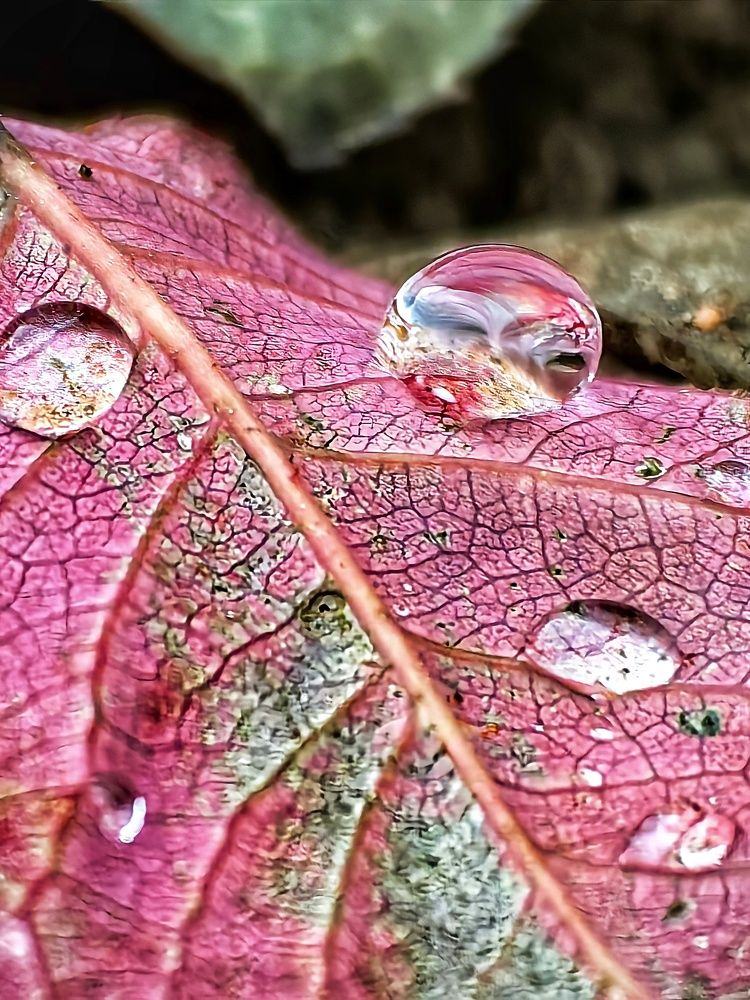 Photograph by Анна Казакова