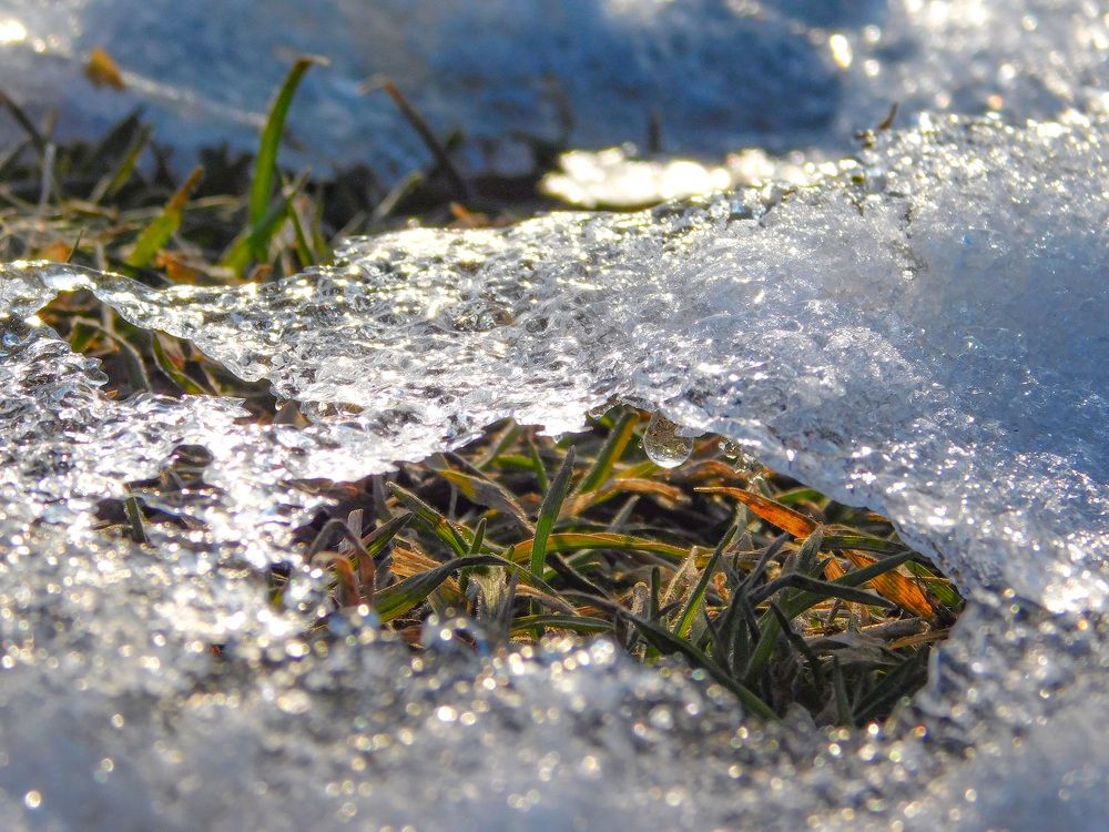 Photograph by Андрей Семенченко