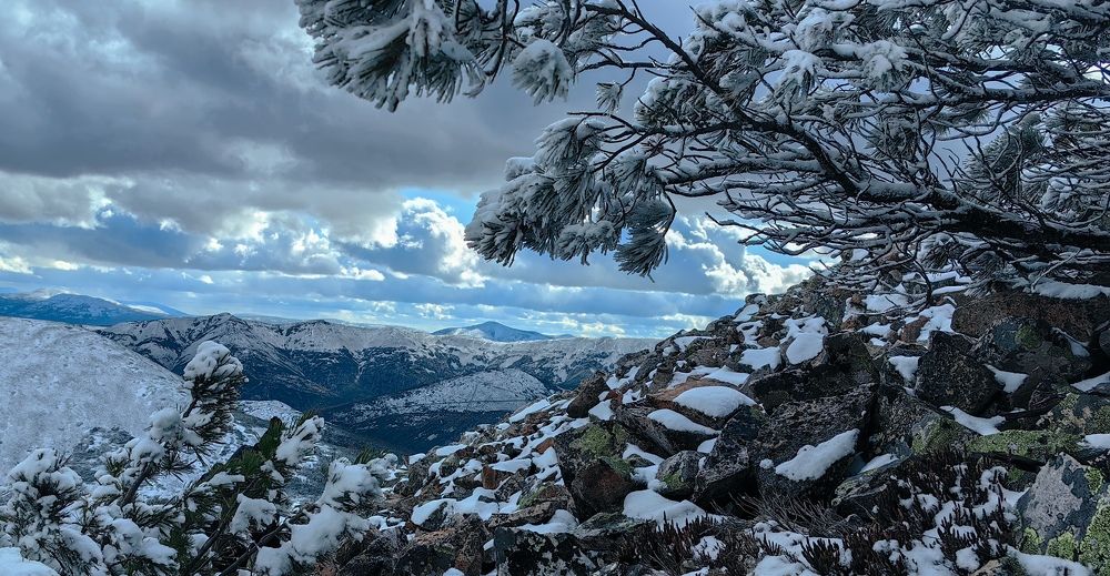 Photograph by Светлана Хамидулина