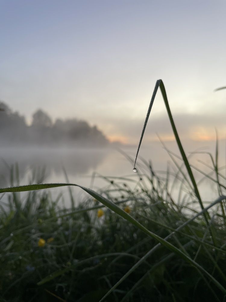 Фотография автора Наталья Попова