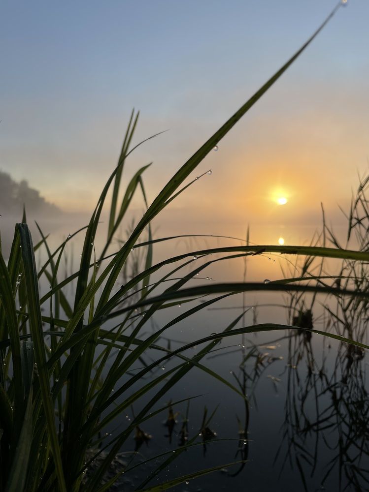 Фотография автора Наталья Попова