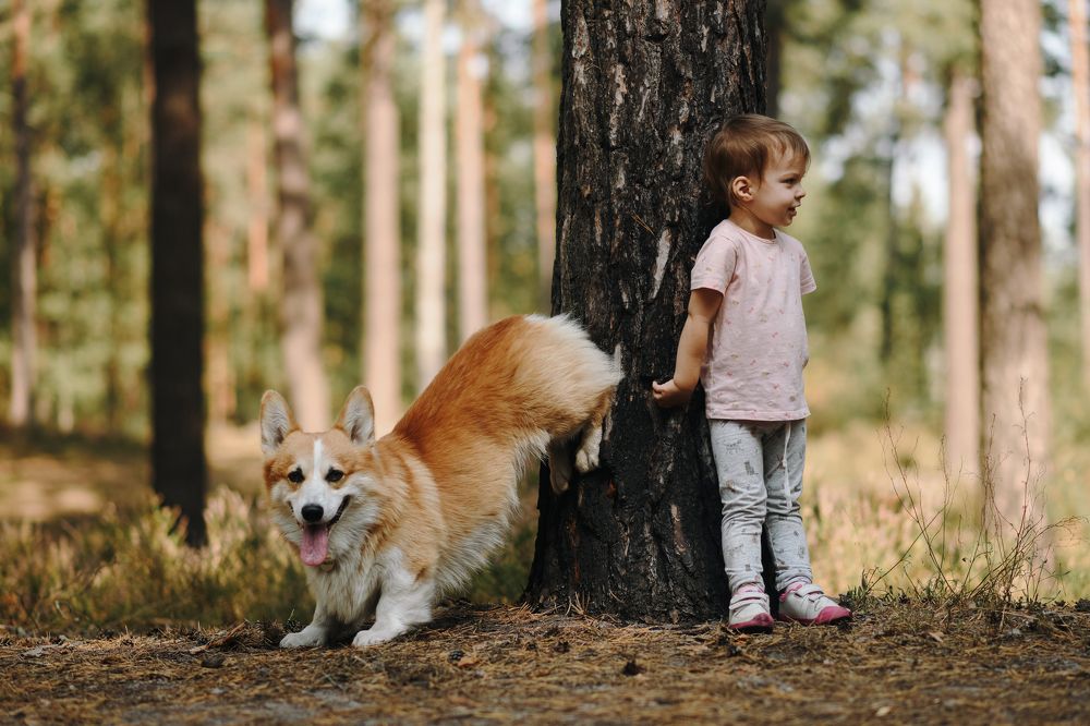 Фотография автора Алена Ковалёва