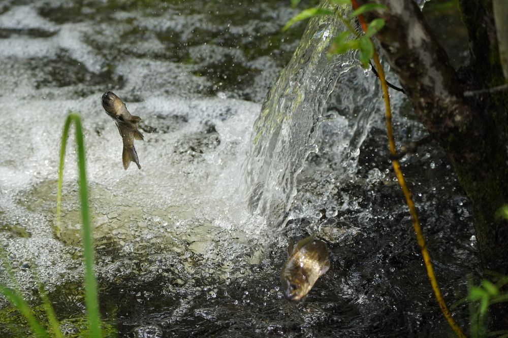 Photograph by Дарья Ринас