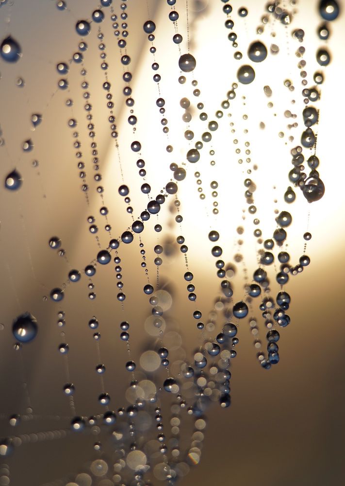 Photograph by Лена Максимкина