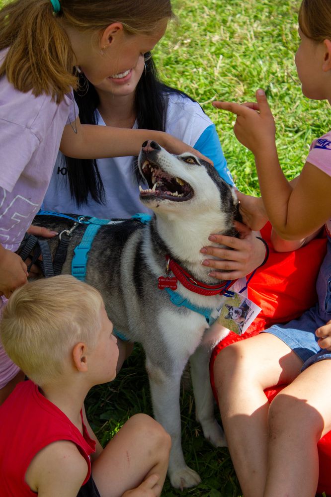 Photograph by Сергей Бойко