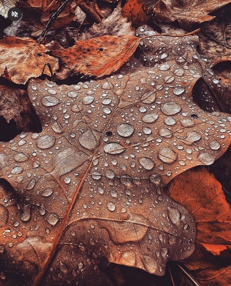 Photograph by Татьяна Волохова