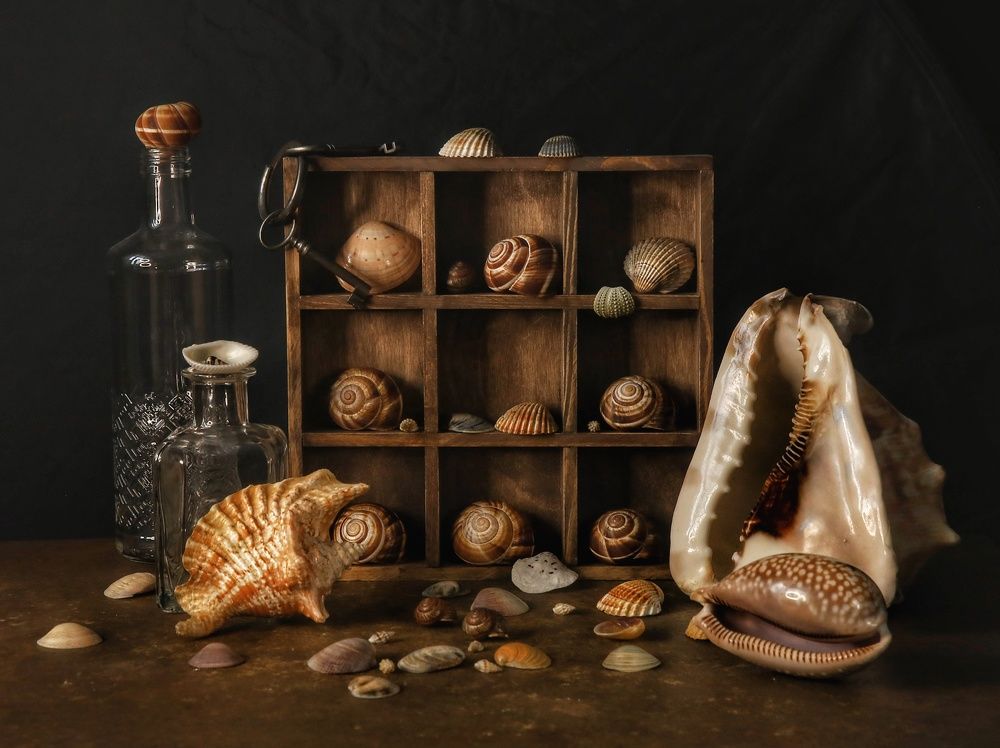 Photograph by Angelica Medvedeva