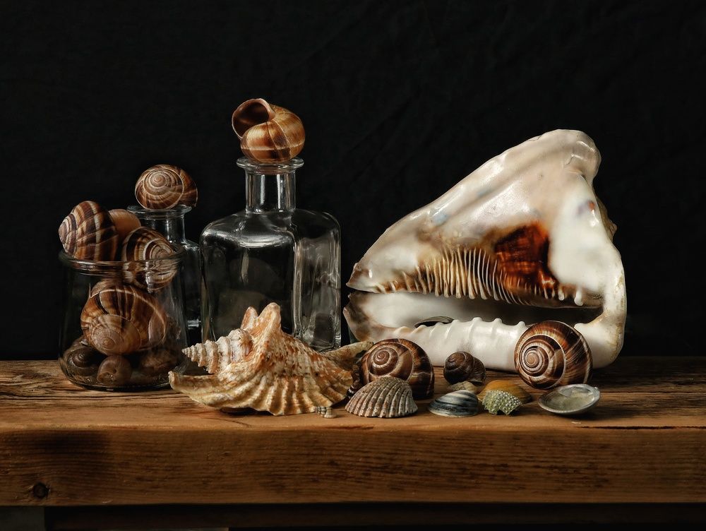 Photograph by Angelica Medvedeva