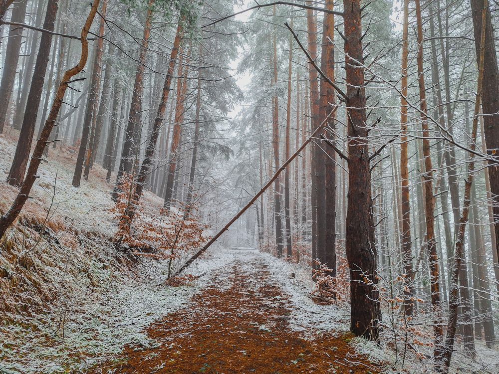 Photograph by Николов Андриян