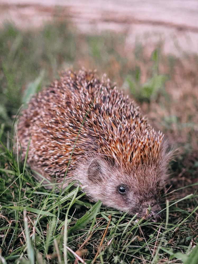 Photograph by Екатерина Бердутина