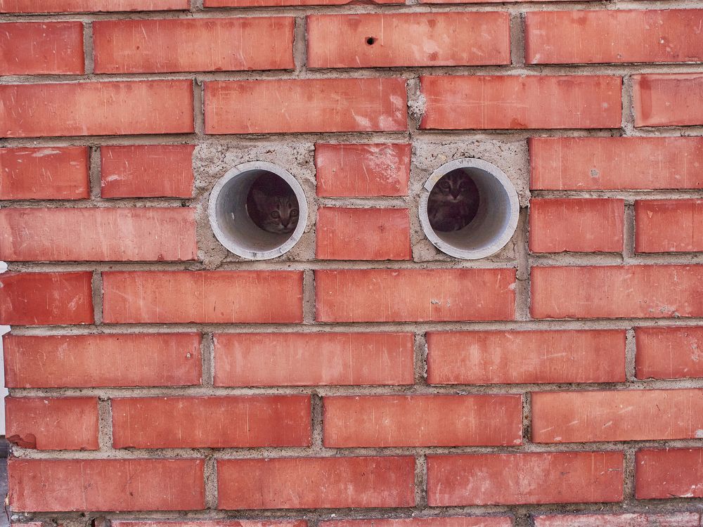 Фотография автора Игорь Игоревич