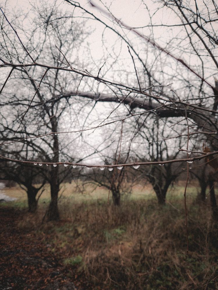 Photograph by Liudmila Kirillova