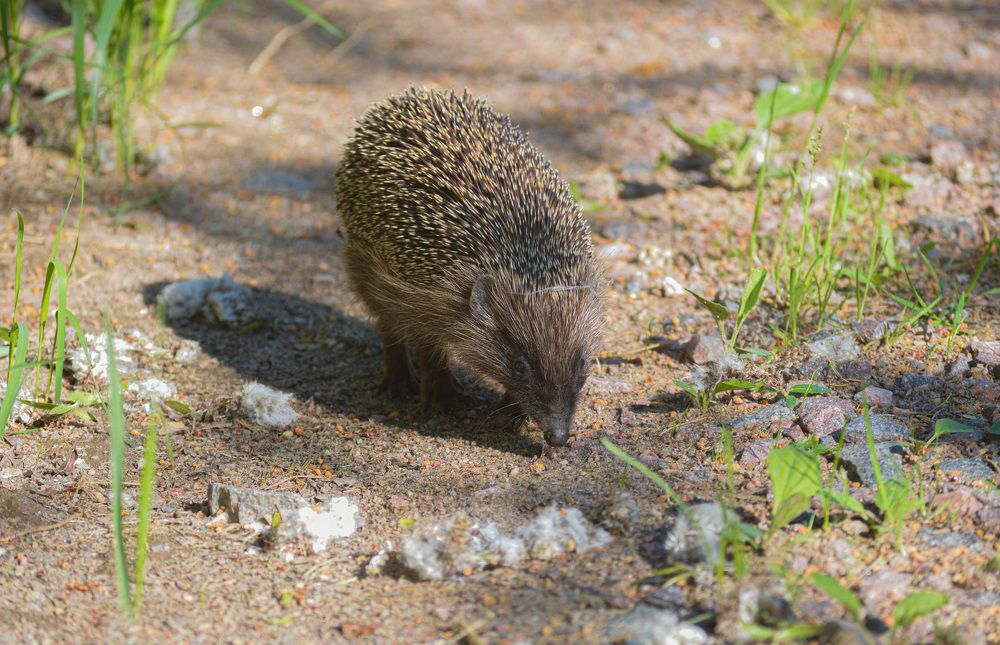 Photograph by Светлана Муравьева