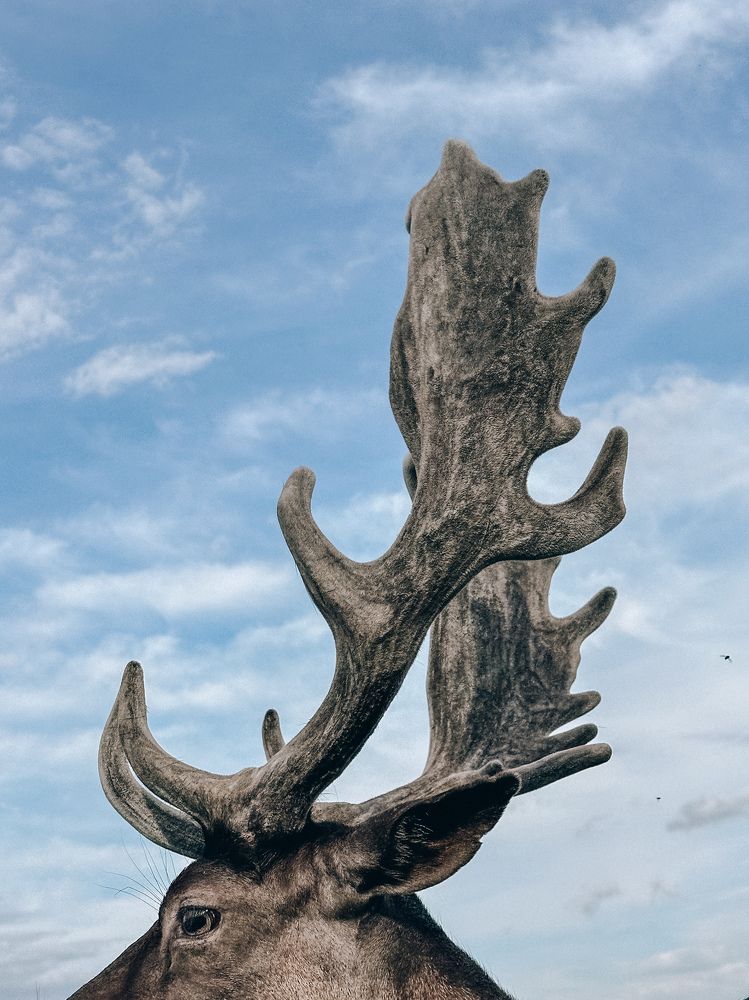 Photograph by Екатерина Бердутина