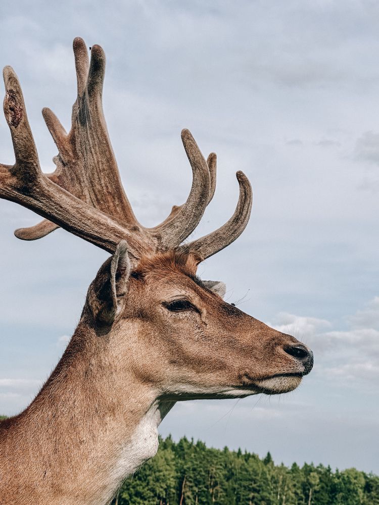 Photograph by Екатерина Бердутина
