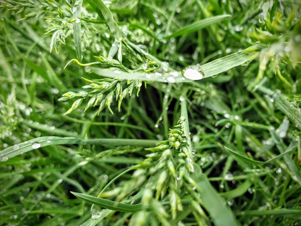 Photograph by Liudmila Kirillova