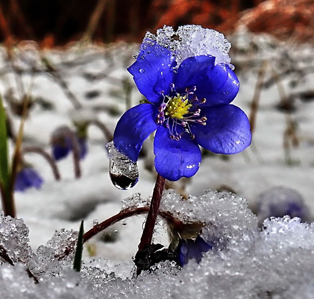 Photograph by 