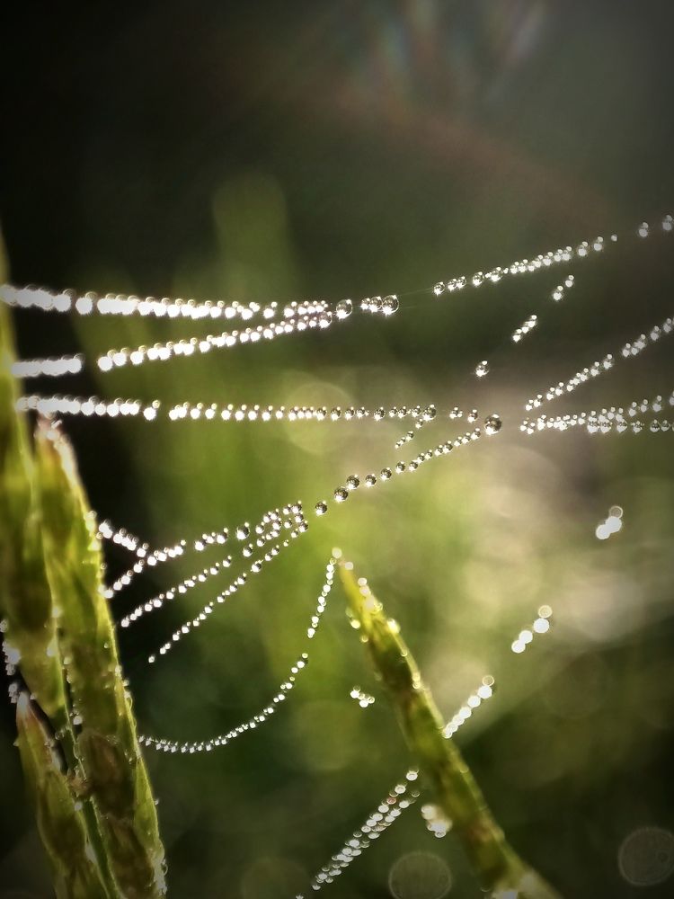 Photograph by Валерий Гудков