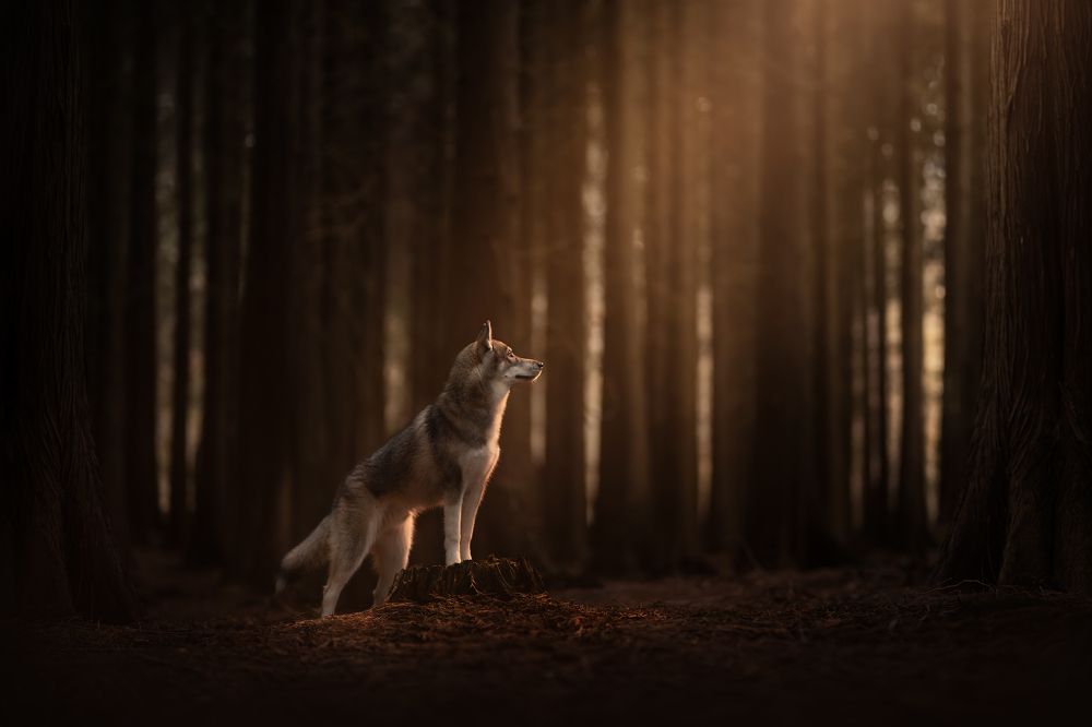 Photograph by Fleur Scholte