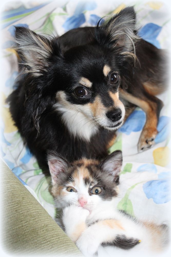 Photograph by Анастасия Бородина