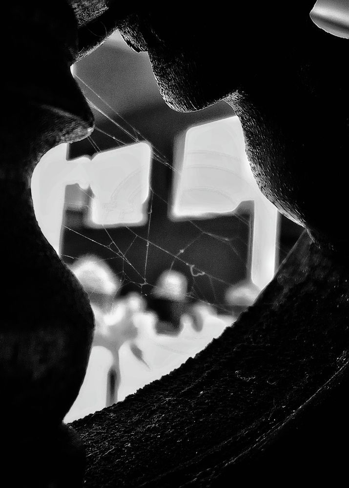 La Red de la Tejedora