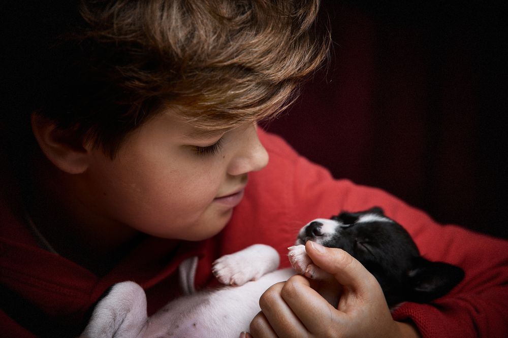 Фотография автора Вострецов Иван