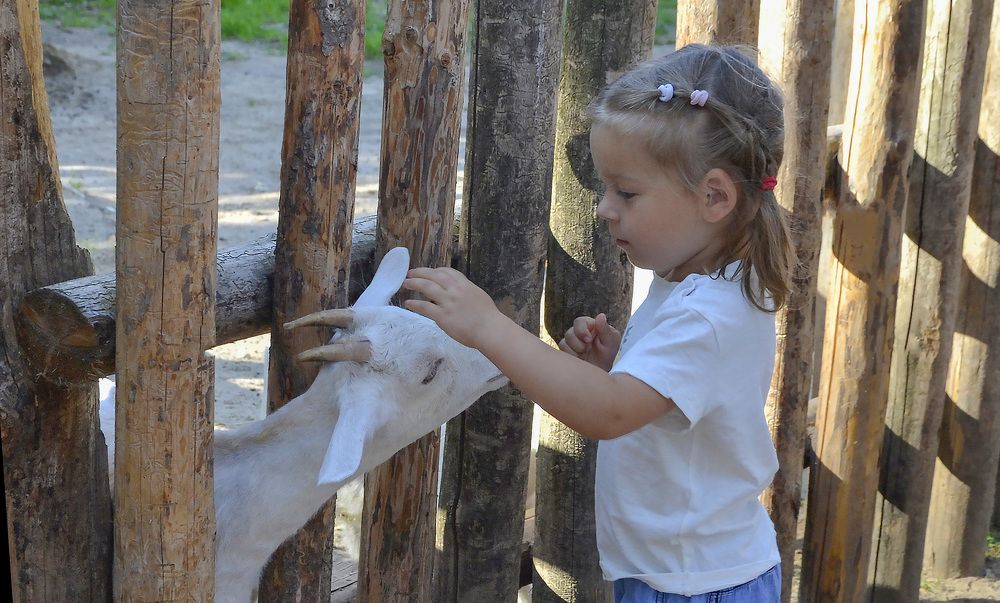 Photograph by Александра Климина