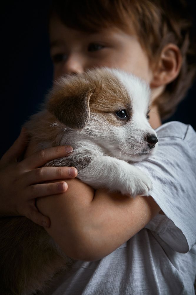 Photograph by Вострецов Иван