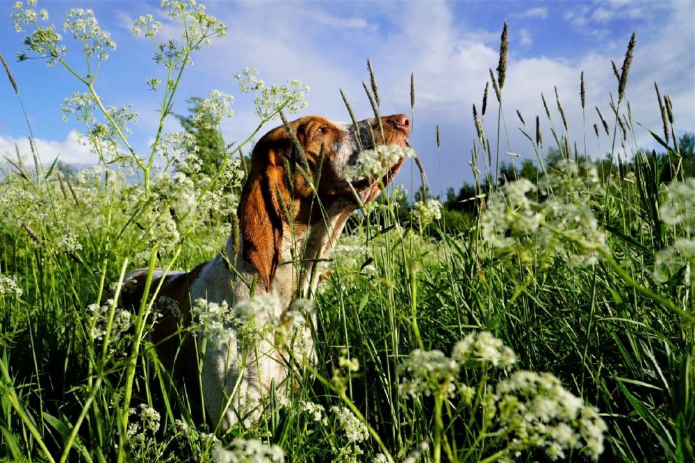 Photograph by Марина Безенкина