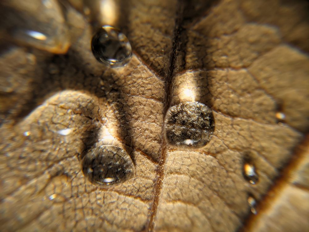 Photograph by Дудников Александр