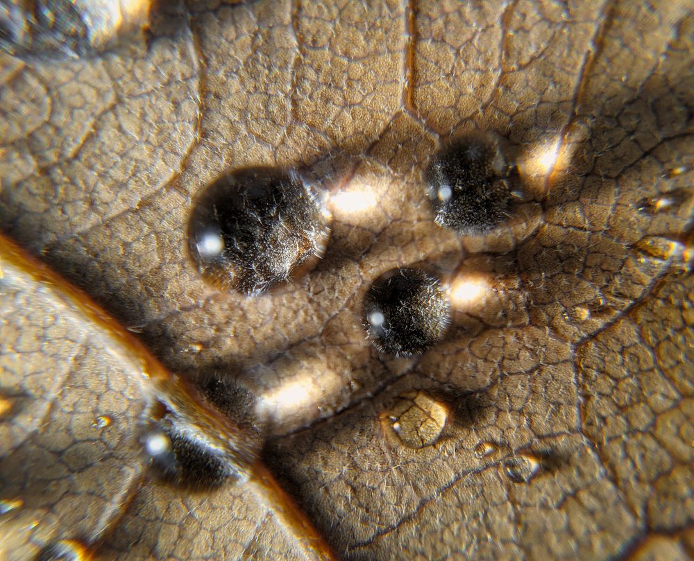 Photograph by Дудников Александр