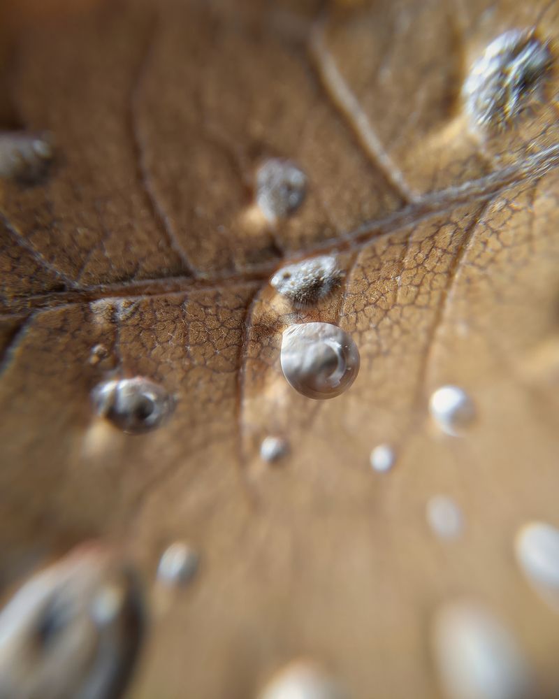 Photograph by Дудников Александр