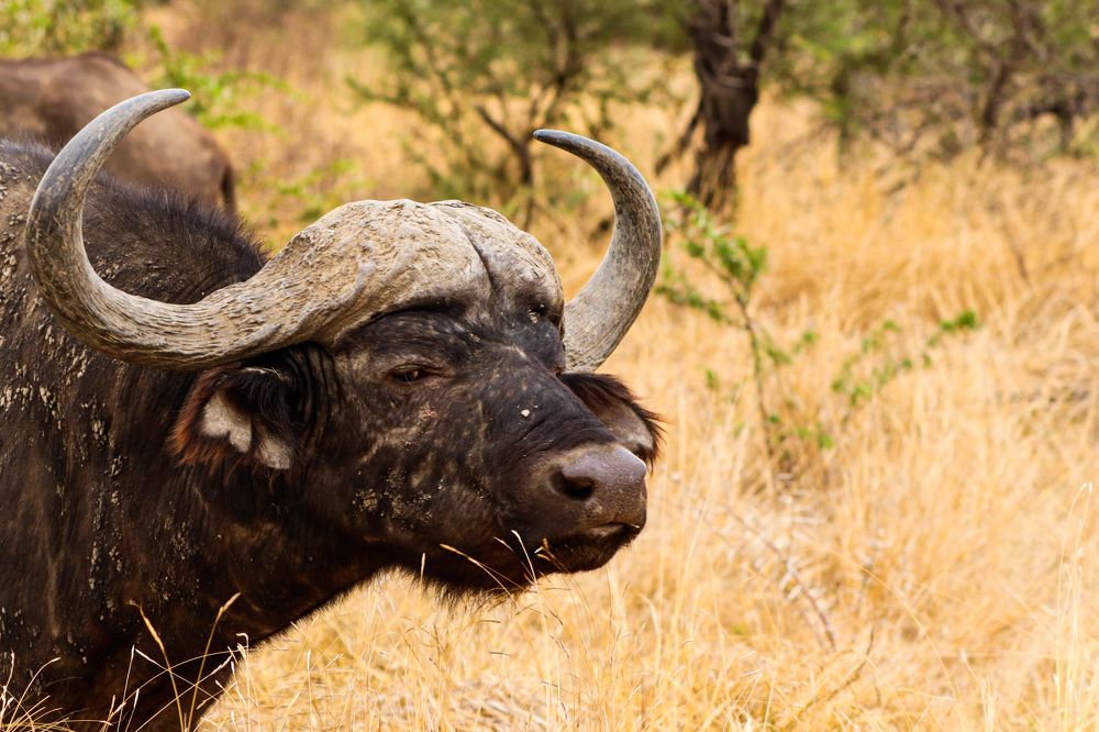 Photograph by Nadine Leonard